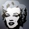 Andy Warhol, Marilyn Monroe Portfolio, Serigrafía, Juego de 10, Imagen 9