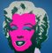 Andy Warhol, Marilyn Monroe Portfolio, Serigrafía, Juego de 10, Imagen 4