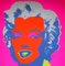 Andy Warhol, Marilyn Monroe Portfolio, Serigrafía, Juego de 10, Imagen 10