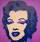 Andy Warhol, Marilyn Monroe Portfolio, Serigrafía, Juego de 10, Imagen 6