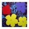 Andy Warhol, Flowers Portfolio, Serigrafías, Juego de 10, Imagen 4