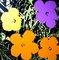 Andy Warhol, Flowers Portfolio, Serigrafías, Juego de 10, Imagen 7