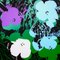 Andy Warhol, Flowers Portfolio, Serigrafías, Juego de 10, Imagen 9