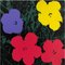 Andy Warhol, Flowers Portfolio, Serigrafías, Juego de 10, Imagen 2
