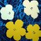 Andy Warhol, Flowers Portfolio, Serigrafías, Juego de 10, Imagen 3