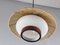 Temde Hanging Lamp, 1960s 3