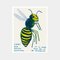 David Shrigley, Sorry for Being Annoying, 2021, Lithograph Poster, Framed 2