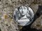 Vintage Italian Plate by Atelier Fornasetti, 1970s 3