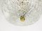 Mid-Century Round Brass & Textured Glass Chandelier attributed to J. T. Kalmar for Kalmar, Austria, 1950s, Image 15