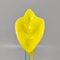 Jack in the Pulpit Calla Lily Vase in Murano Glass, 1960s 9