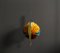 Paper Rooster Lantern, West Germany, 1960s 11