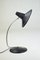 Mid-Century Desk Lamp with Perforated Shade 1