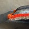 Sorrel Cushion by Sohil Design 6