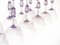 Cyclamen Murano Wine Glass from Cenedese, 1950s, Set of 12 17