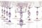 Cyclamen Murano Wine Glass from Cenedese, 1950s, Set of 12 10