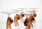Amber Murano Glass and Pulegoso Nautilus Flutes from Cenedese, 1950s, Set of 6 11