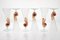 Amber Murano Glass and Pulegoso Nautilus Flutes from Cenedese, 1950s, Set of 6 10