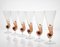 Amber Murano Glass and Pulegoso Nautilus Flutes from Cenedese, 1950s, Set of 6 6