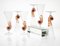 Amber Murano Glass and Pulegoso Nautilus Flutes from Cenedese, 1950s, Set of 6 14