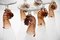 Amber Murano Glass and Pulegoso Nautilus Flutes from Cenedese, 1950s, Set of 6 18