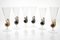 Brown Accent and Pulegoso Murano Glass Nautilus Flutes from Cenedese, 1950s, Set of 6 4