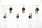 Brown Accent and Pulegoso Murano Glass Nautilus Flutes from Cenedese, 1950s, Set of 6 10