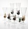Brown Accent and Pulegoso Murano Glass Nautilus Flutes from Cenedese, 1950s, Set of 6 5