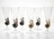 Brown Accent and Pulegoso Murano Glass Nautilus Flutes from Cenedese, 1950s, Set of 6 9