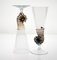 Brown Accent and Pulegoso Murano Glass Nautilus Flutes from Cenedese, 1950s, Set of 6 16