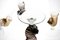Brown Accent and Pulegoso Murano Glass Nautilus Flutes from Cenedese, 1950s, Set of 6 13