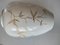 Jarrón de porcelana de Weisswasser, Mid-Century, Imagen 19