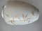 Jarrón de porcelana de Weisswasser, Mid-Century, Imagen 17