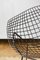 Set of Diamond Model Chairs by Harry Bertoia, 1950s 2