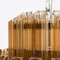 Amber Piccolo Palermo Chandelier from Pure White Lines 5