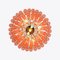 Pink Palermo Chandelier from Pure White Lines 4