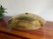 Vintage German Wall Light Strobl in Brass 10