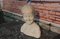 Child's Bust, 20th Century, Marble 3