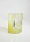 Vintage Italian Murano Glass Water Glasses by Maryana Iskra Verres for Ribes, Set of 6 9