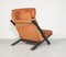 DS 80 Lounge Chair by Ueli Berger for de Sede, 1970s 4