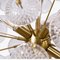 Dandelion Sputnik Chandelier from Pure White Lines 6