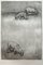 Krystyna Jaszke, Dolly (Sheep), Incisione su carta, 2002, Immagine 2
