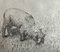 Krystyna Jaszke, Dolly (Sheep), Incisione su carta, 2002, Immagine 3