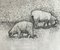 Krystyna Jaszke, Dolly (Sheep), Incisione su carta, 2002, Immagine 4