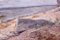 Alexeksev, Seashore, Oil on Canvas 3