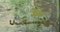 Laimdots Murnieks, Green Alley, Aceite a bordo, Imagen 2