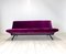Mod. D70 Sofa by Osvaldo Borsani for Tecno, 1955 4