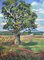 Zita Sudnika, Oak, Oil on Canvas 1