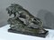 Nérin, Lion Rugissant, Début Du XXe Siècle, Bronze 3