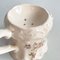 Taza de barbero Mid-Century de cerámica blanca de Staffordshire, Inglaterra, década de 1900, Imagen 6