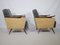 Set of Mid-Century French Lounge Chairs, 1950s 10